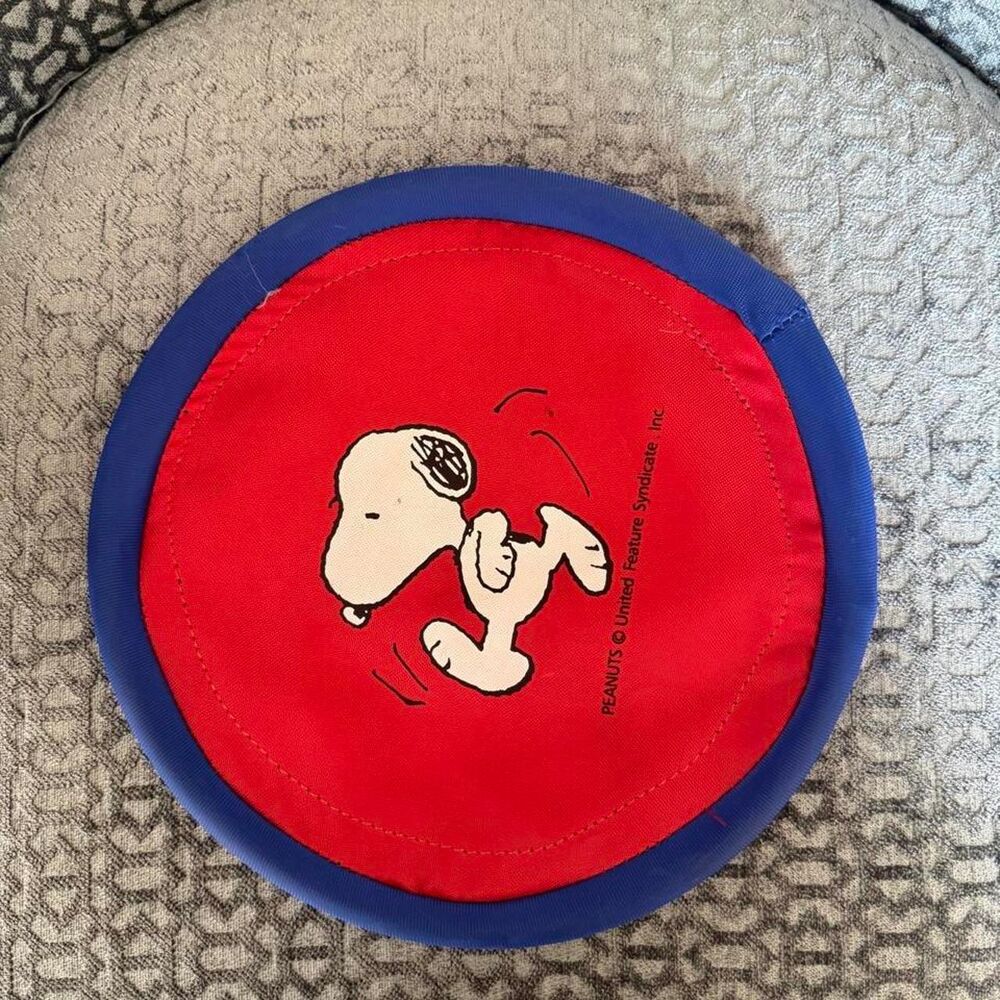 Peanuts multi Learning-toys